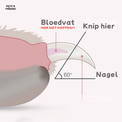 Clippy™ - Cut your pet's nails without fear