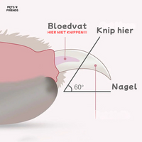 Clippy™ - Cut your pet's nails without fear