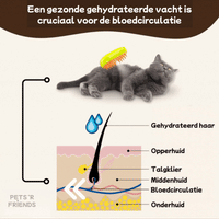 Groomzy™ - Effortless and stress-free brushing