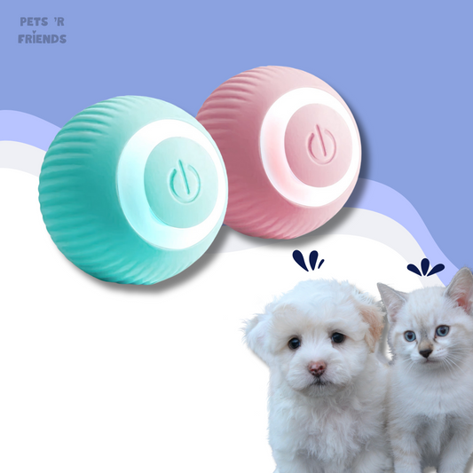 ZoomiBall™ – The smart toy that helps combat boredom