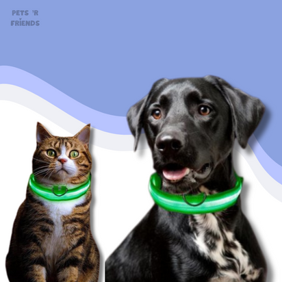 GlowGuard™ LED Collar – Make your dog or cat stand out anytime, anywhere!