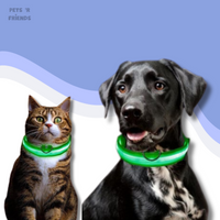 GlowGuard™ LED Collar – Make your dog or cat stand out anytime, anywhere!