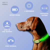 GlowGuard™ LED Collar – Make your dog or cat stand out anytime, anywhere!