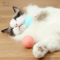 ZoomiBall™ – The smart toy that helps combat boredom