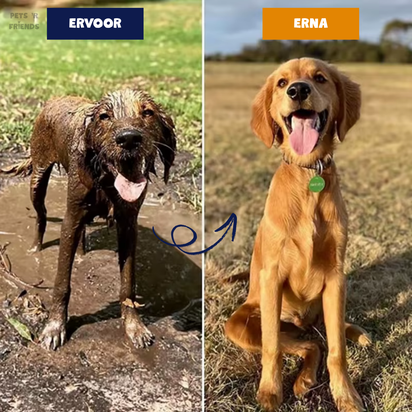 PetJet™ – The Smart Sprinkler for Optimal Results with Every Animal!