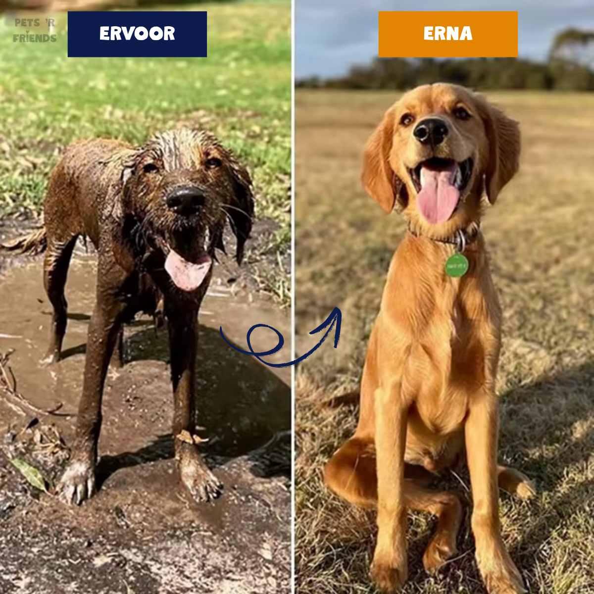 PetJet™ – The Smart Sprinkler for Optimal Results with Every Animal!