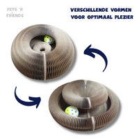 Scratch & Play™ - The Toy That Challenges Your Cat and Saves Your Furniture!