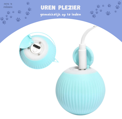 ZoomiBall™ – The smart toy that helps combat boredom