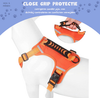 SafeGuard™ – For comfortable and safe walks without pulling!