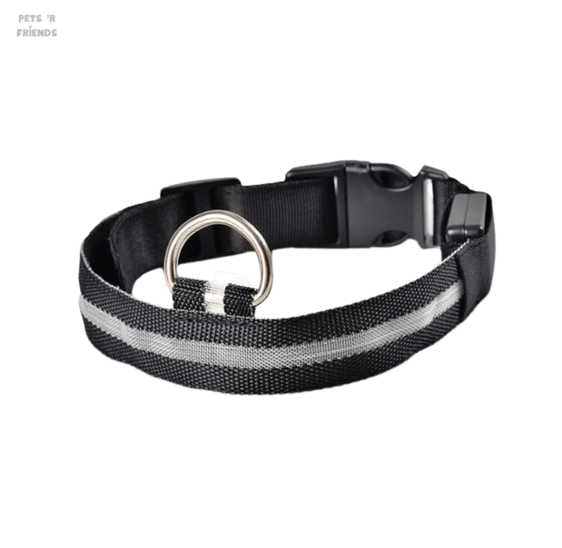 GlowGuard™ LED Collar – Make your dog or cat stand out anytime, anywhere!