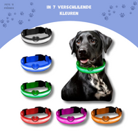 GlowGuard™ LED Collar – Make your dog or cat stand out anytime, anywhere!